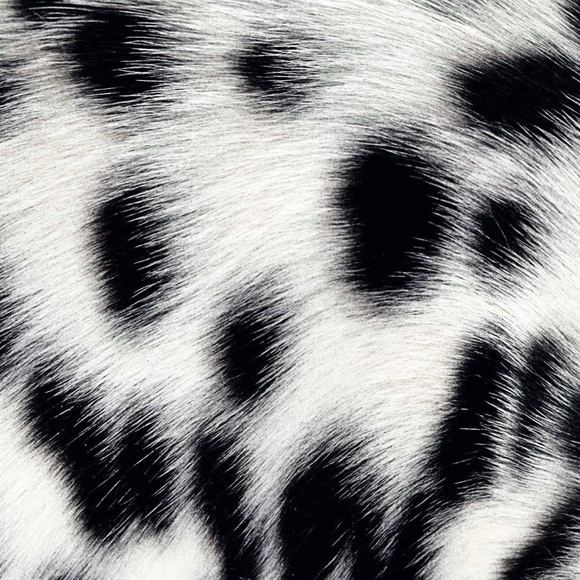 One Hundred and One Dalmatians Enamel Pin - Disney - Picture 2 of 4